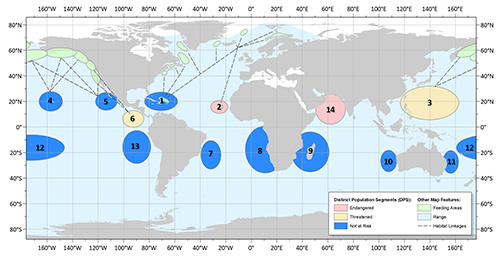 jpg Approximate locations & feeding grounds of proposed humpback whale distinct population segments