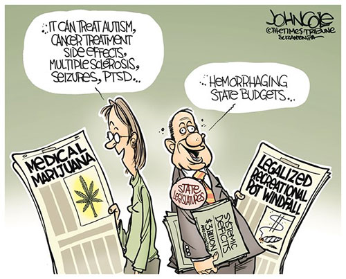 jpg Editorial Cartoon: Leaglized pot and state budgets