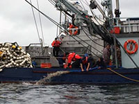 SCG Assists Fishing Vessel Taking on Water & Conducts 2 Medevacs in Southeast Alaska 