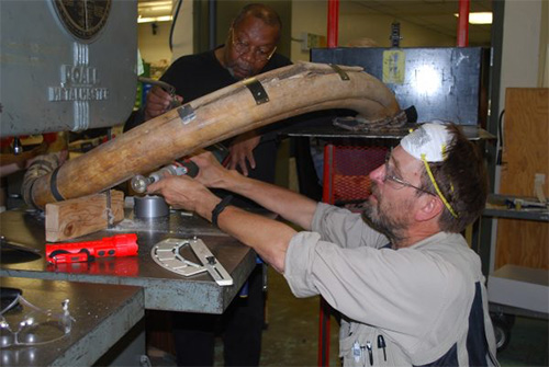 jpg Slicing a 20,000-year-old mammoth tusk